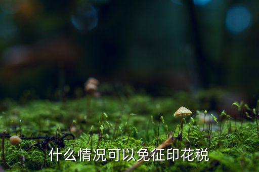 印花稅免稅是什么政策規(guī)定，什么情況可以免征印花稅