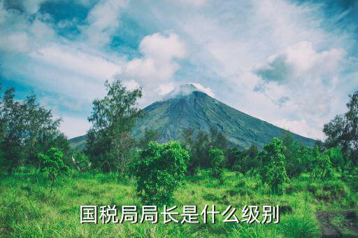 長(zhǎng)春市國(guó)稅局局長(zhǎng)什么級(jí)別，地級(jí)市的國(guó)稅局局長(zhǎng)是什么干部