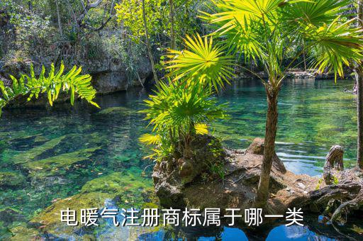 電暖氣稅務(wù)是什么類別，稅務(wù)暖氣冷氣費(fèi)屬于什么名稱