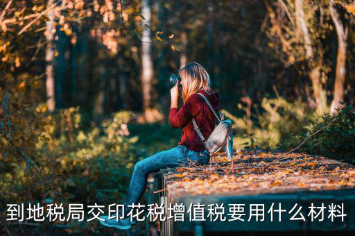 賬簿印花稅去地稅買要帶什么資料，購買印花稅帶什么資料