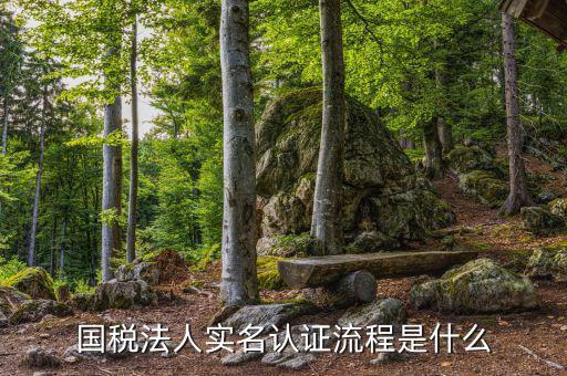 稅務(wù)實名認證需要什么，在國稅局辦理實名認證要準備哪些資料
