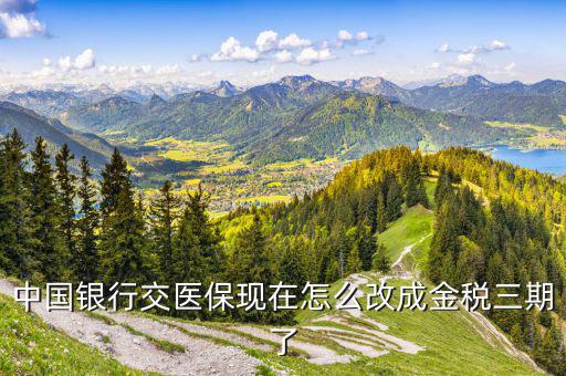 中國(guó)銀行交醫(yī)保現(xiàn)在怎么改成金稅三期了