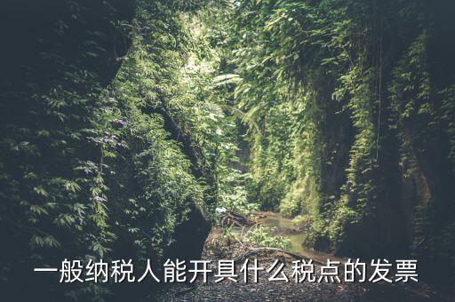 一般納稅人領(lǐng)什么發(fā)票，一般納稅人企業(yè)能開(kāi)具和使用什么類(lèi)型的發(fā)票