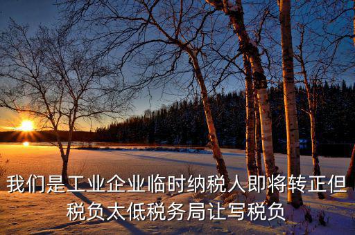 我們是工業(yè)企業(yè)臨時納稅人即將轉(zhuǎn)正但稅負太低稅務(wù)局讓寫稅負