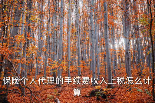 保險(xiǎn)代理員交什么稅，請問從車輛保險(xiǎn)代理人的提承里扣的稅是什么稅啊