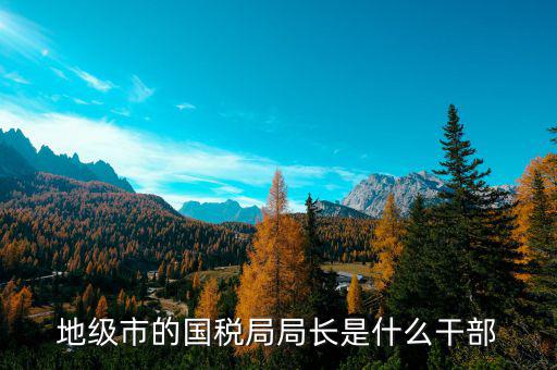 市國稅局局長什么級別，地級市的國稅局局長是什么干部