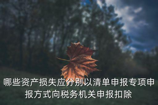 哪些資產(chǎn)損失應(yīng)分別以清單申報專項申報方式向稅務(wù)機(jī)關(guān)申報扣除