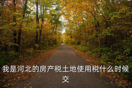 河北地稅申報后什么時候繳費，我是河北的房產(chǎn)稅土地使用稅什么時候交