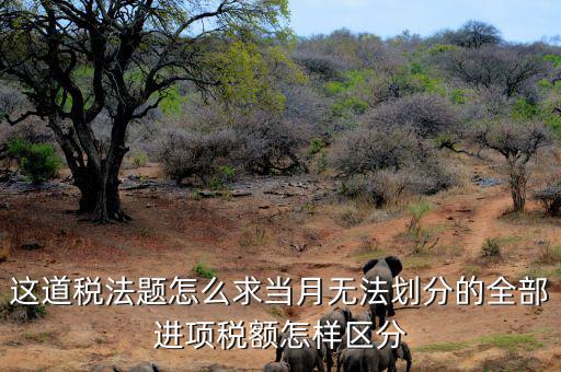 什么叫無(wú)法劃分的進(jìn)項(xiàng)稅額，一般納稅人兼營(yíng)免稅項(xiàng)目或者非增值稅應(yīng)稅勞務(wù)而無(wú)法劃分不得抵