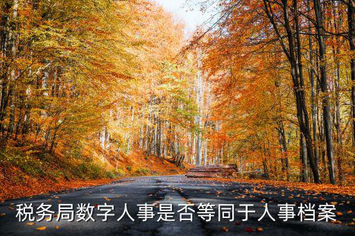 數(shù)字人事國稅是什么，數(shù)字人事第一段怎么劃分