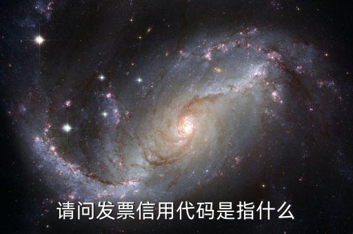 國(guó)稅開普票信用代碼是什么，發(fā)票上的統(tǒng)一社會(huì)信用代碼是什么