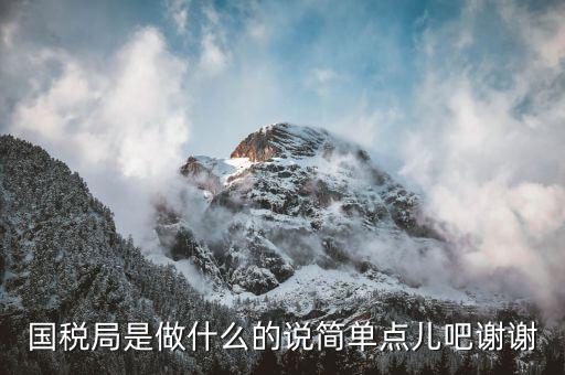 濰坊市國(guó)稅局是什么，國(guó)稅局的具體解釋是什么