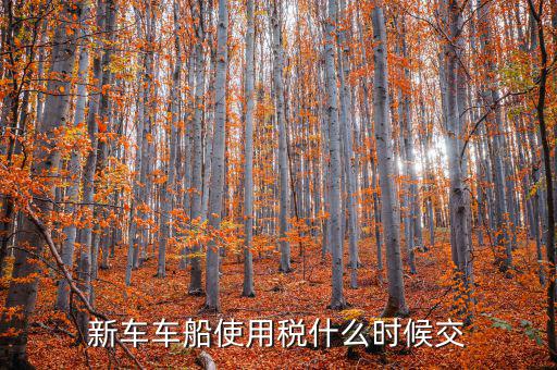 新車什么時候交車船稅，新車車船使用稅什么時候交