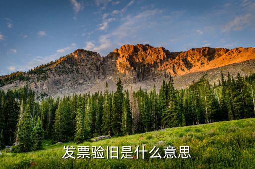 發(fā)票驗交舊什么意思，發(fā)票驗舊是什么意思
