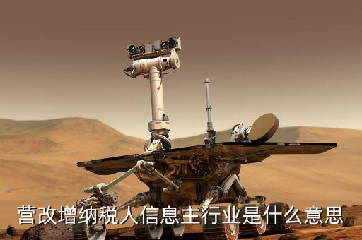 國稅主行業(yè)都是什么意思，營改增納稅人信息主行業(yè)是什么意思