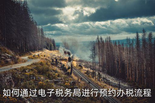 國稅局預(yù)約有什么，拿金稅盤去國稅前臺弄要預(yù)約嗎