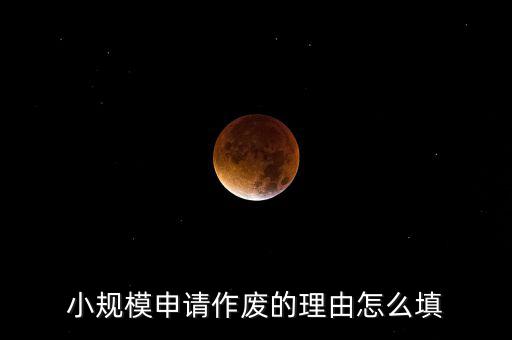 申報表作廢什么理由，申報并已經交稅因個別原因要作廢申報表可不可以