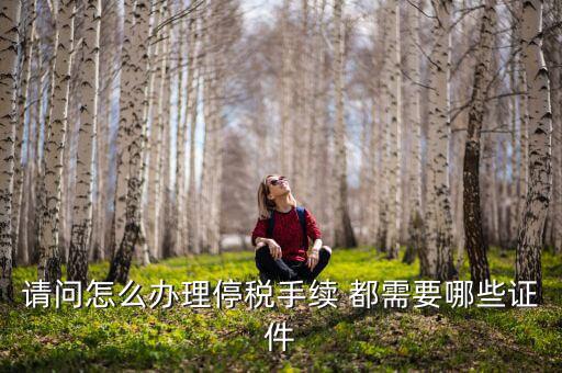 停供發(fā)票需要注意什么手續(xù)，停國(guó)稅要怎么辦理 要什么手續(xù)