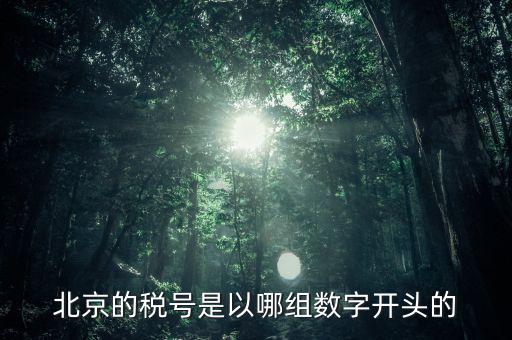 北京的稅號是以哪組數字開頭的