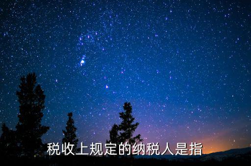 什么人是納稅人，納稅人的定義的什么