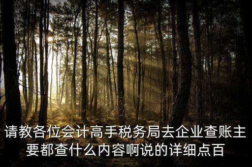 請教各位會計(jì)高手稅務(wù)局去企業(yè)查賬主要都查什么內(nèi)容啊說的詳細(xì)點(diǎn)百