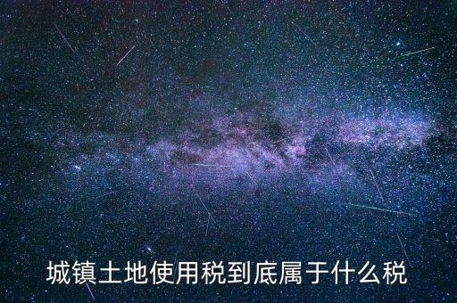 城鎮(zhèn)土地使用稅屬于什么稅種，城鎮(zhèn)土地使用稅到底屬于什么稅