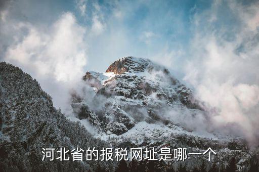 河北稅務(wù)官網(wǎng)是什么，怎么打開河北省國(guó)稅網(wǎng)站