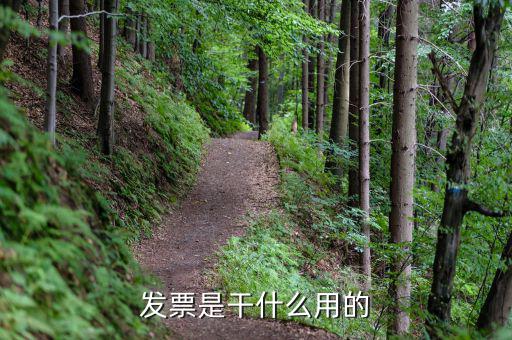發(fā)票中心是什么，發(fā)票是干什么用的