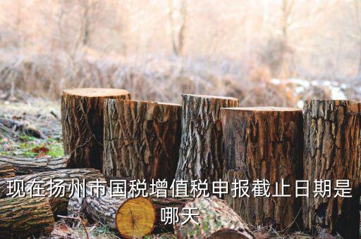 揚(yáng)州10月稅務(wù)申報(bào)什么時(shí)候，個(gè)人所得稅10月份申報(bào)期限是多少