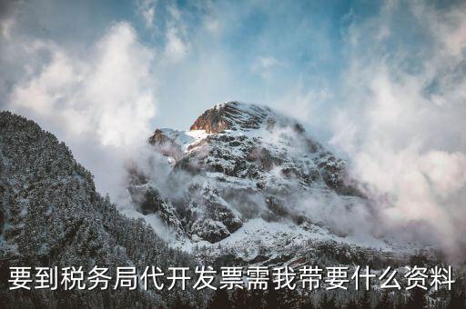 個(gè)人稅務(wù)局代開發(fā)需要什么資料，稅局代開發(fā)發(fā)票需要帶什么資料