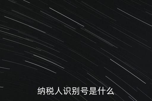 山西國稅納稅人識別號是什么，納稅人識別號是什么