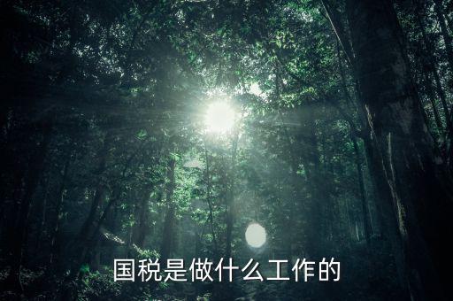 國(guó)稅是做什么工作的