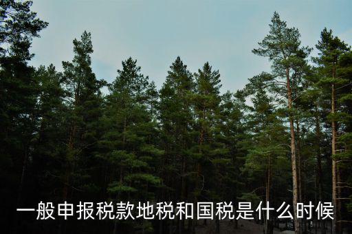 廣東省國稅和地稅什么時候申報，每月什么時間到地稅或國稅申報