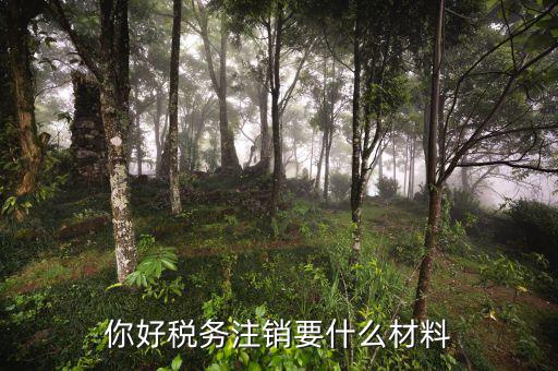 注銷地稅需要帶什么手續(xù)費(fèi)，注銷地稅繳稅戶需要什么手續(xù)