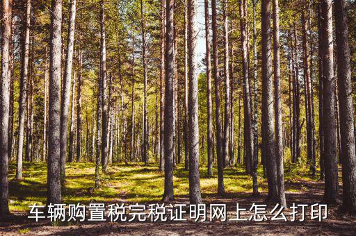 什么是購置稅完稅證明，車輛購置稅完稅證明是什么它在二手車交易中起什么作用