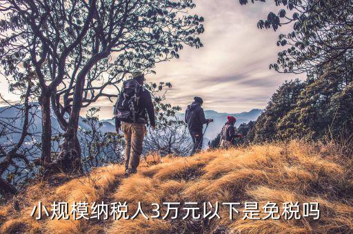 3萬(wàn)以下免稅是什么意思，小規(guī)模納稅人3萬(wàn)元以下是免稅嗎