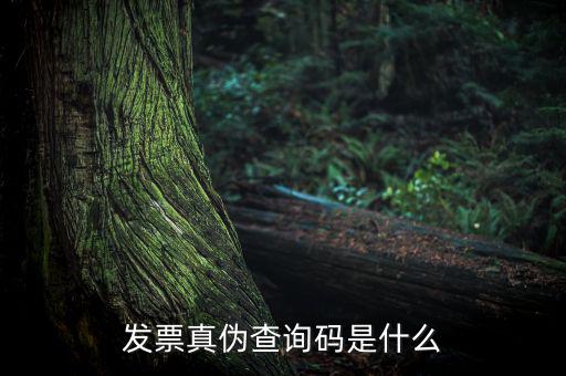 網(wǎng)絡(luò)發(fā)票查詢號(hào)是什么，發(fā)票真?zhèn)尾樵兇a是什么