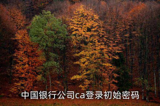 中國(guó)銀行公司ca登錄初始密碼
