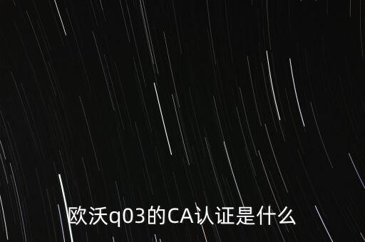 ca認證密碼是什么意思，歐沃q03的CA認證是什么