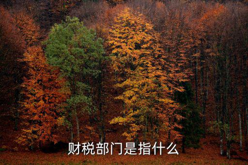 財稅征收保障網(wǎng)是什么，財稅部門是指什么