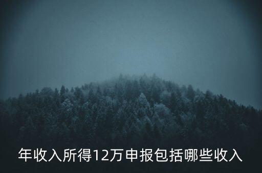 十二萬申報是什么，12萬個稅申報有什么用