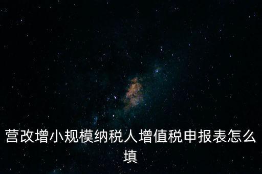 營改增需要填什么表，營改增小規(guī)模納稅人網(wǎng)上納稅申報需要填寫幾張表