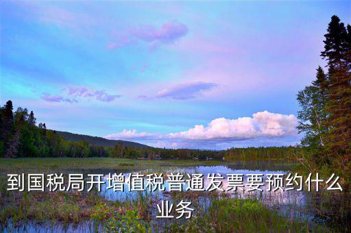 到國(guó)稅局開增值稅普通發(fā)票要預(yù)約什么業(yè)務(wù)
