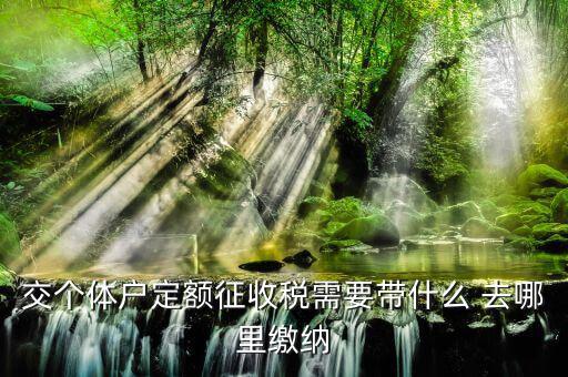 個(gè)體戶定額需要準(zhǔn)備什么，交個(gè)體戶定額征收稅需要帶什么 去哪里繳納
