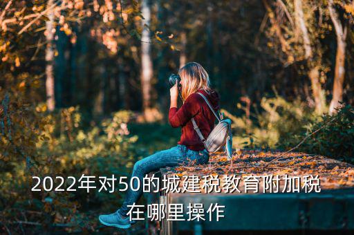 城建稅 教育費(fèi)附加在什么界面報稅，城建稅地方教育費(fèi)附加教育費(fèi)附加怎么報稅怎么操作