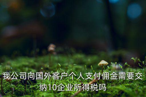 我公司向國(guó)外客戶(hù)個(gè)人支付傭金需要交納10企業(yè)所得稅嗎