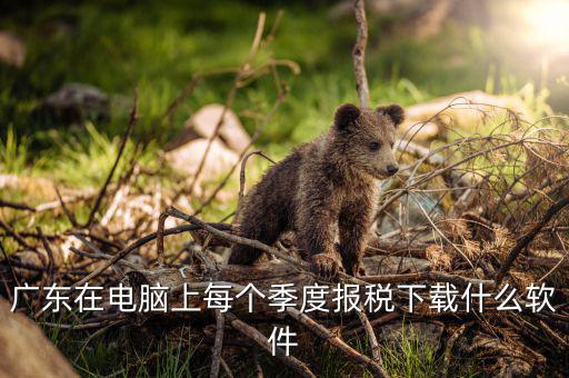 什么是報稅的客戶端呢，河北國稅網(wǎng)上申報客戶端和防偽稅控納稅接口 不都是報稅系統(tǒng)嗎 它