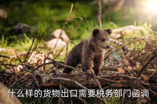 為什么要出口復(fù)函，國(guó)稅局函調(diào)后對(duì)方國(guó)稅局回復(fù)說(shuō)貨物流常請(qǐng)問(wèn)能否讓對(duì)方二次復(fù)