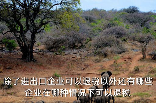 中國(guó)什么公司可以退稅，除了進(jìn)出口企業(yè)可以退稅以外還有哪些企業(yè)在哪種情況下可以退稅
