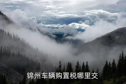 錦州國稅局車輛購置部門是什么，錦州機(jī)動車購置稅在哪里交